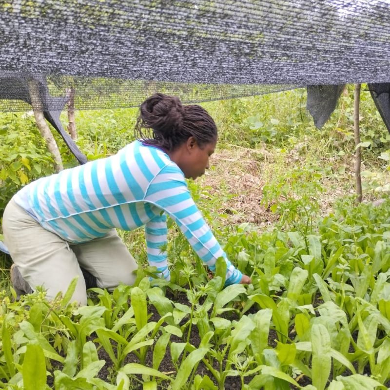 WhatsApp Image 2025-12-26 at 4.09.33 PM