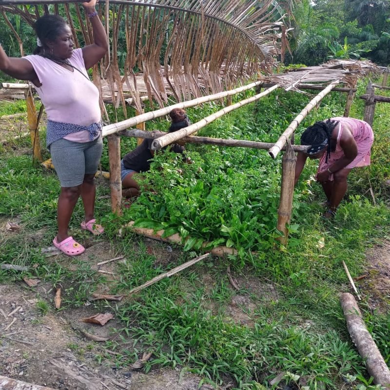 WhatsApp Image 2025-12-26 at 4.09.38 PM